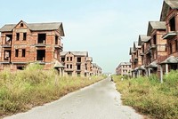 Lo Việt Nam rơi vào “thập kỷ mất mát”